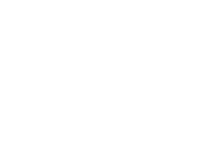 Capital Wealth_Logo ICON_WHITE-01 Capital Wealth_Logo ICON_WHITE-01